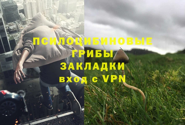 герыч Новозыбков