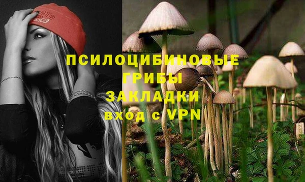 герыч Новозыбков