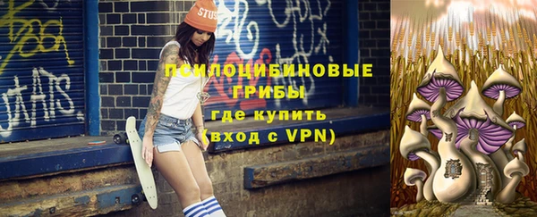 спиды Новокубанск